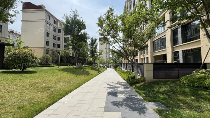 青特云境外景图