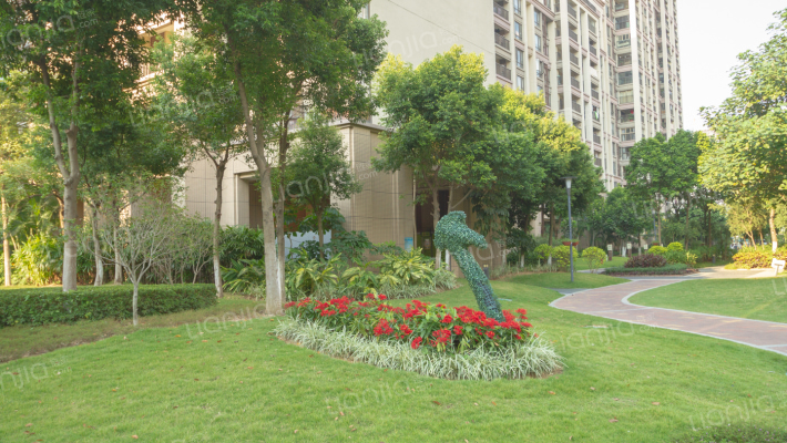 万科府前一号外景图