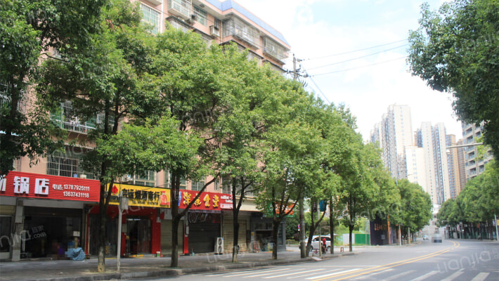 畜牧局小区外景图