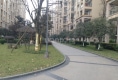 翰林上岛9