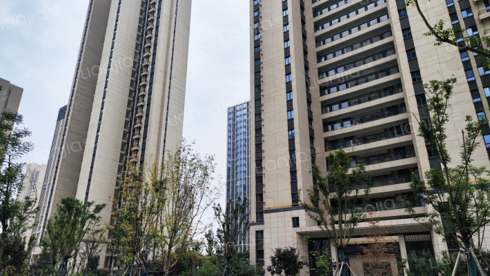 万达天璟外景图