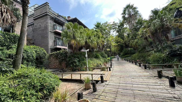 茉莉唐朝外景图