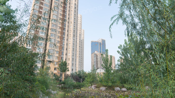 森林半岛外景图