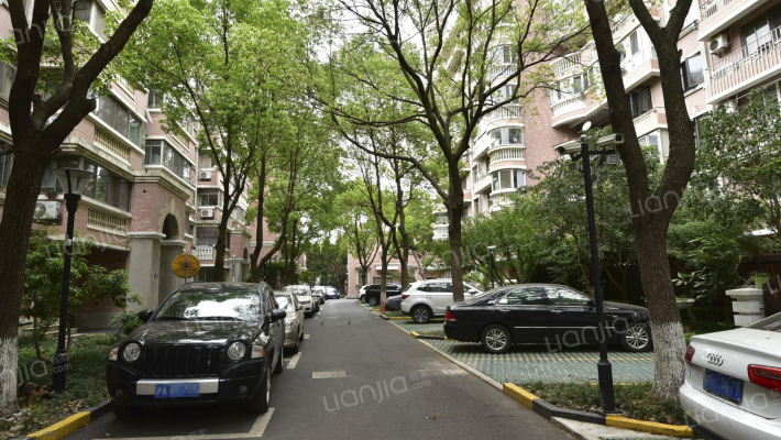 金汇鸿锦苑外景图