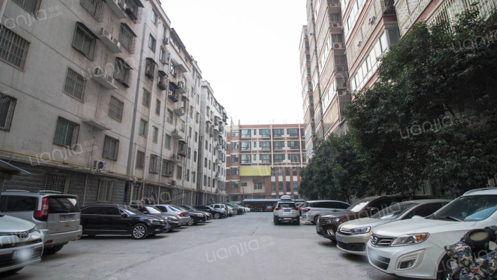 都市芳邻外景图