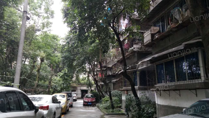 百花东街52号外景图