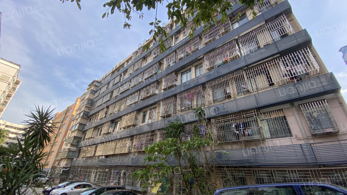 山海梧桐外景图