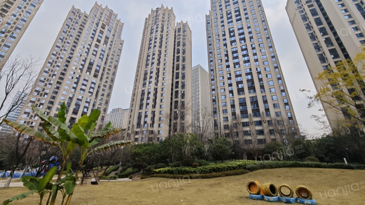 鲁能公馆2区外景图