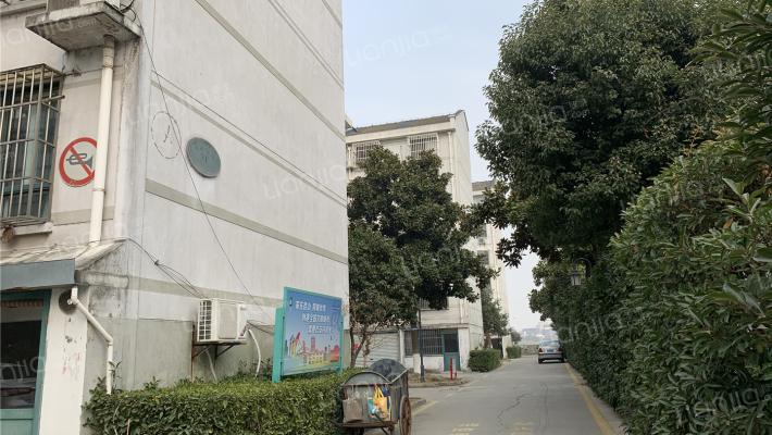 东庄绿岛外景图