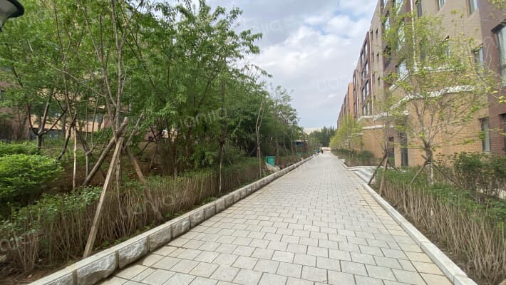 荣信森林里外景图