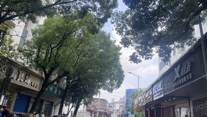 河东街28号外景图