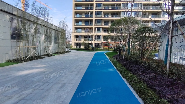 祥生·云境外景图