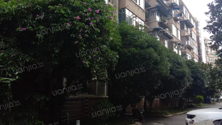 育才路27号外景图