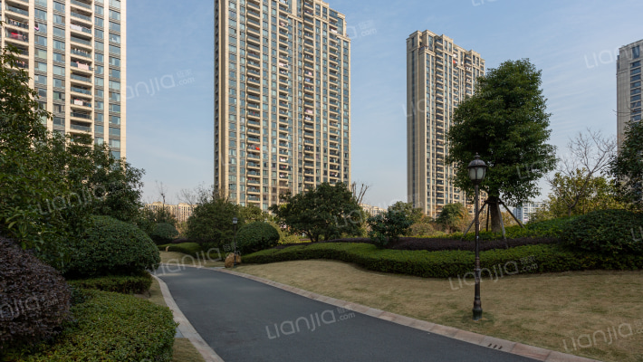 滨江·城市之星外景图