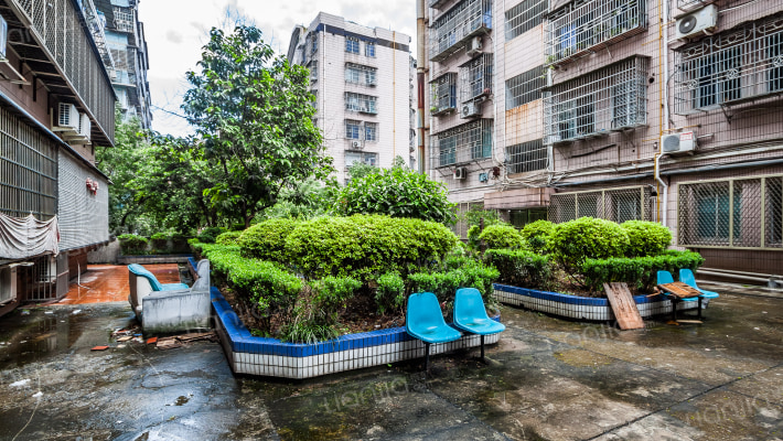 金茂商厦外景图