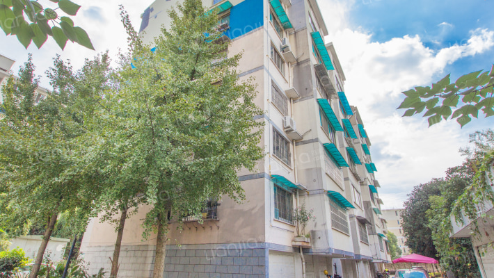 对山路58号外景图