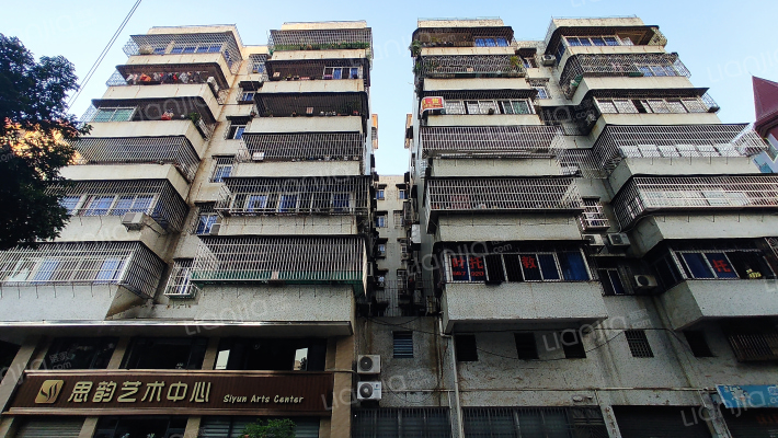 金碧街10号外景图