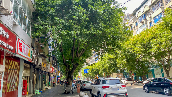 文星路47号附16号外景图