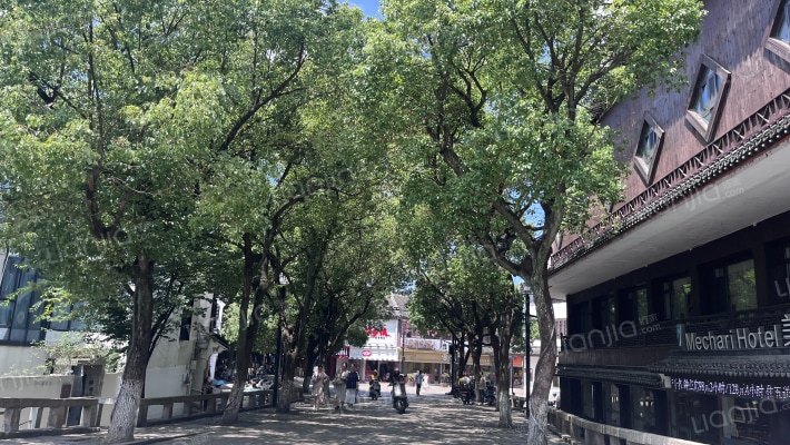 同钱里外景图