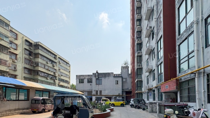 林荫河畔外景图