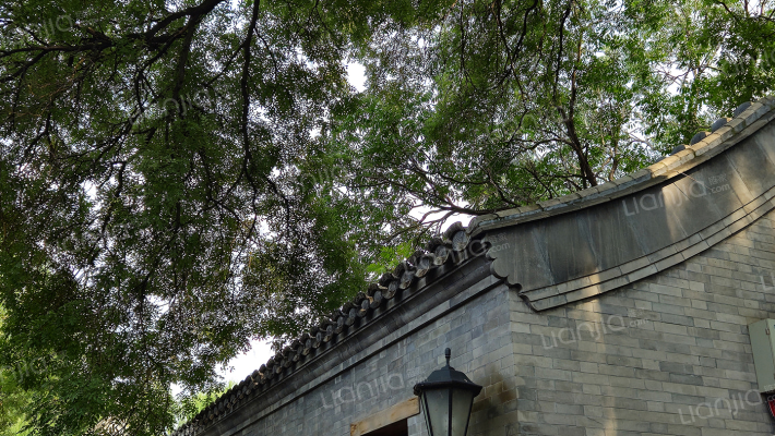 西口袋胡同外景图