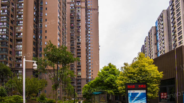 赛达国际外景图