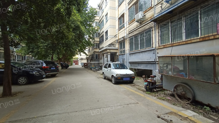 林场新家属院外景图