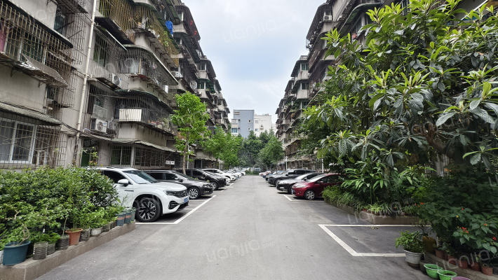 新马路1号外景图