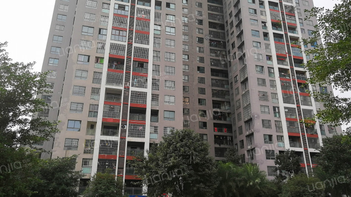 绿城上岛外景图