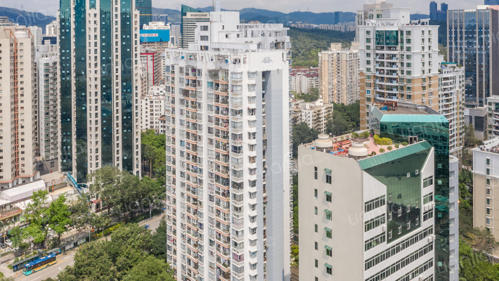 金色假日外景图