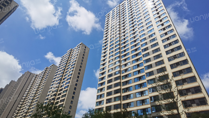 崂山金茂府东区 外景图