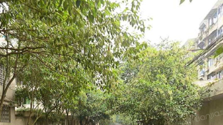 建司家属院外景图