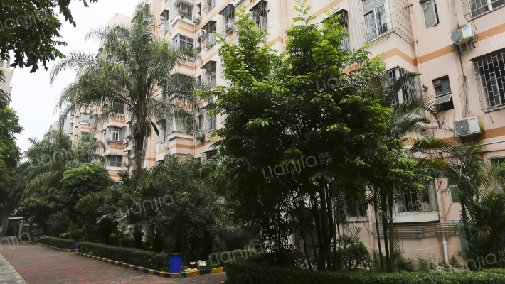 侨洲花园外景图