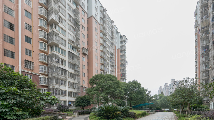 鑫天芙蓉外景图