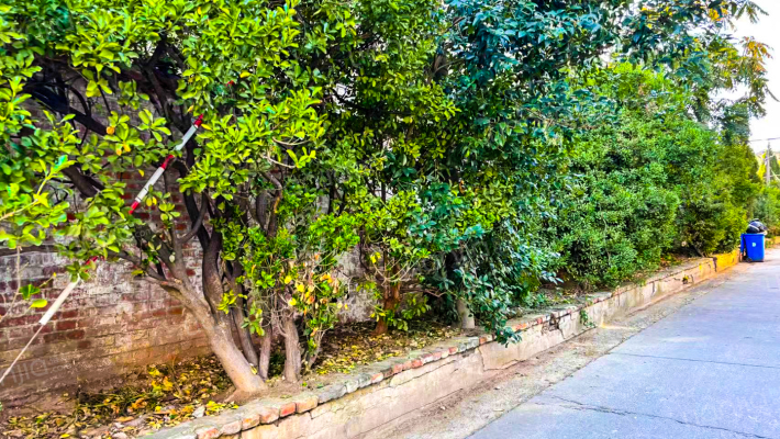 康乐西路7号外景图