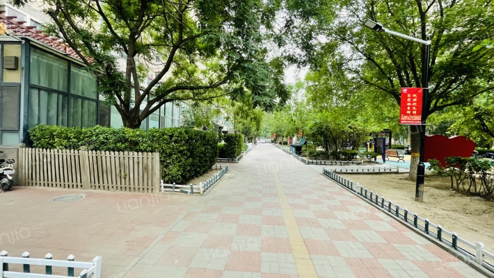 俊城橡树原外景图