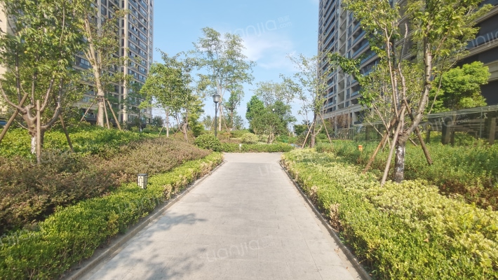 旭东景苑外景图