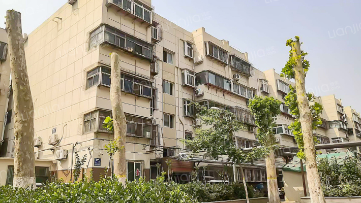 十亩园中街外景图