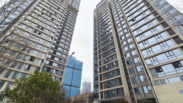 天府公园未来城星幕北区外景图