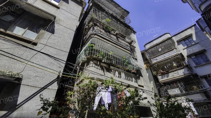 山顶机械厂集资房小区外景图