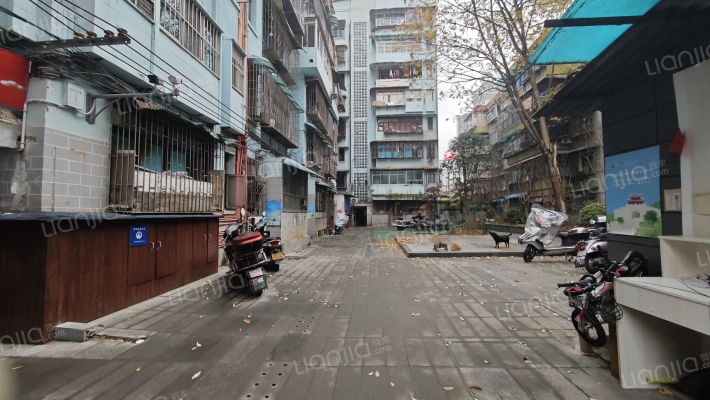 箭道南巷3号外景图