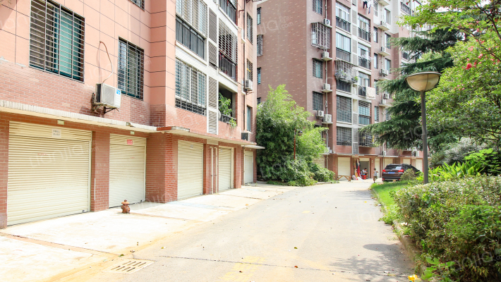 南山青林小镇外景图