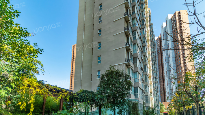 楠竹庭苑外景图