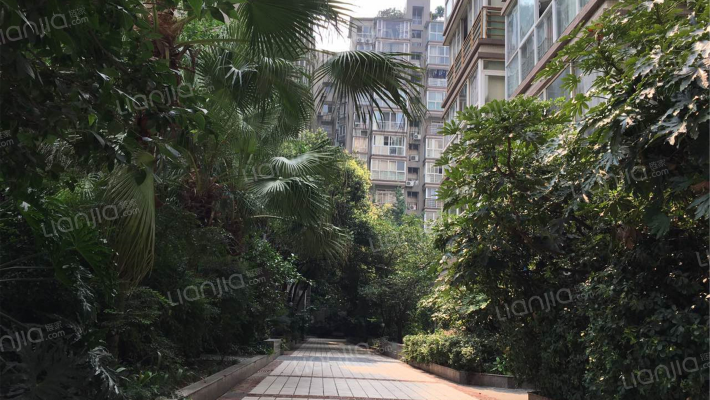 远鸿方程式外景图