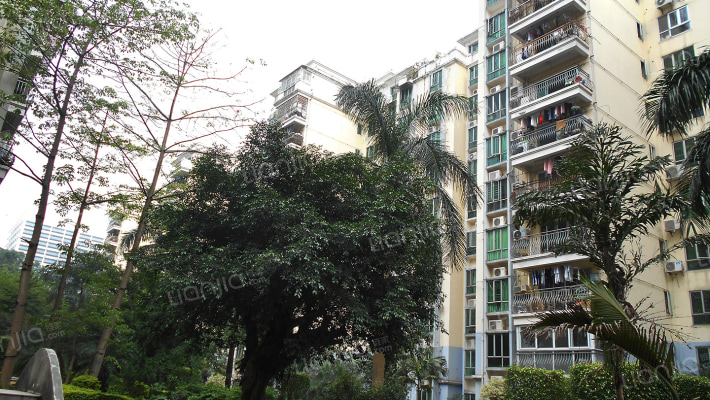 星光之约外景图