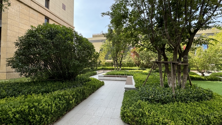 金茂悦览秀外景图