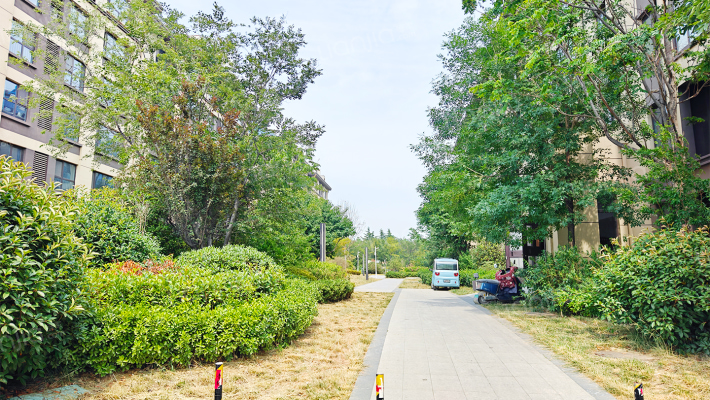 大展兴瑞府外景图