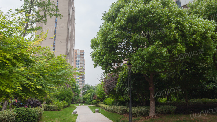 印象西湖外景图