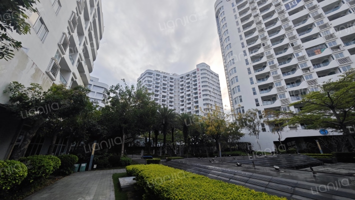 红树湾畔外景图