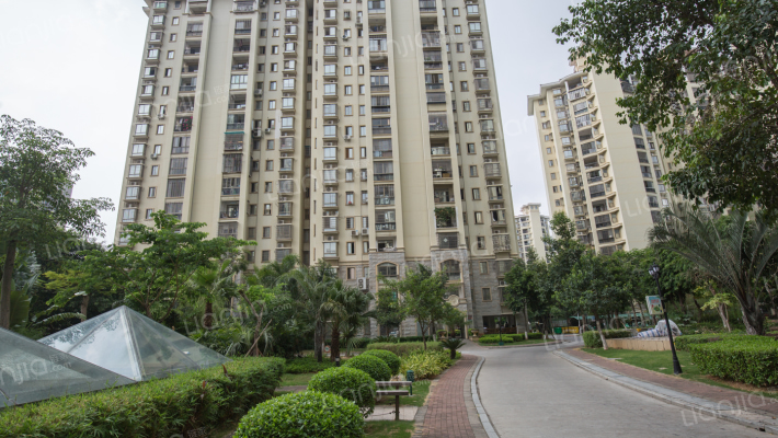 未来海岸蓝水郡外景图